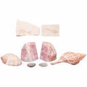 Quartz bookends, fossils, shel