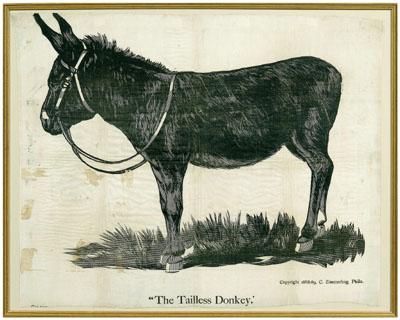 &quot;The Tailless Donkey&quot;