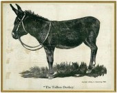 &quot;The Tailless Donkey&quot
