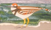 R. Wikstrom Shorebird Mixed Me