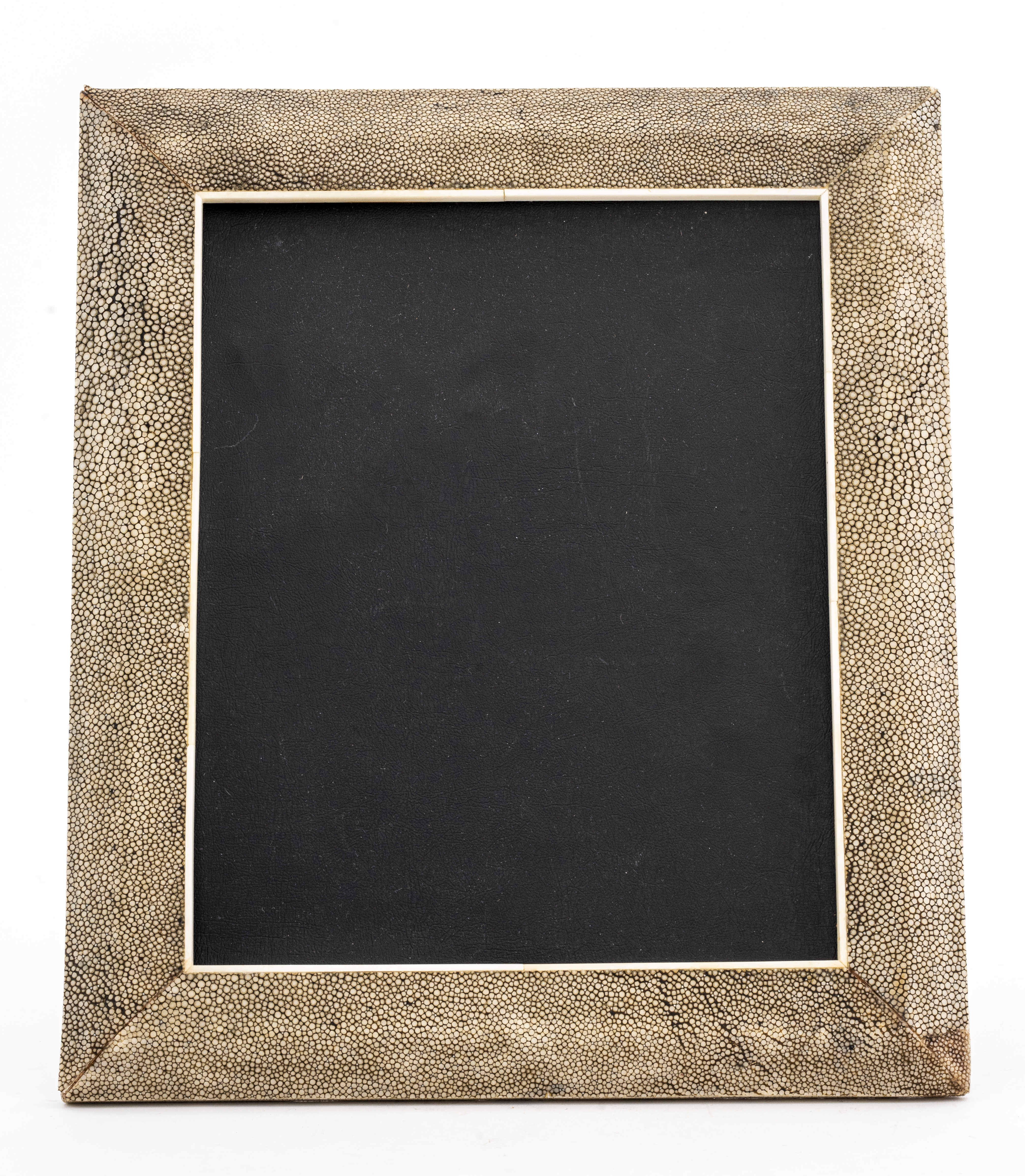 R & Y AUGOUSTI SHAGREEN PICTURE