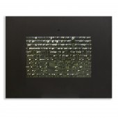 RAFAEL LOZANO-HEMMER, VIDEO IN