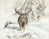 RAGAN GENNUSA (1944-2021) WILD