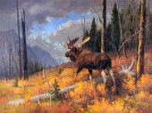RALPH OBERG (1950- ), PRIME TI