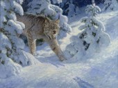 RALPH OBERG (1950-), SILENT SN