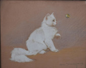 RANIER ZSTVANFFY GABRIELLE CAT