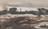 RAPHAEL GLEITSMANN (AMERICAN,