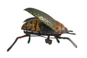 RARE 1895 LEHMANN GERMAN FLYIN