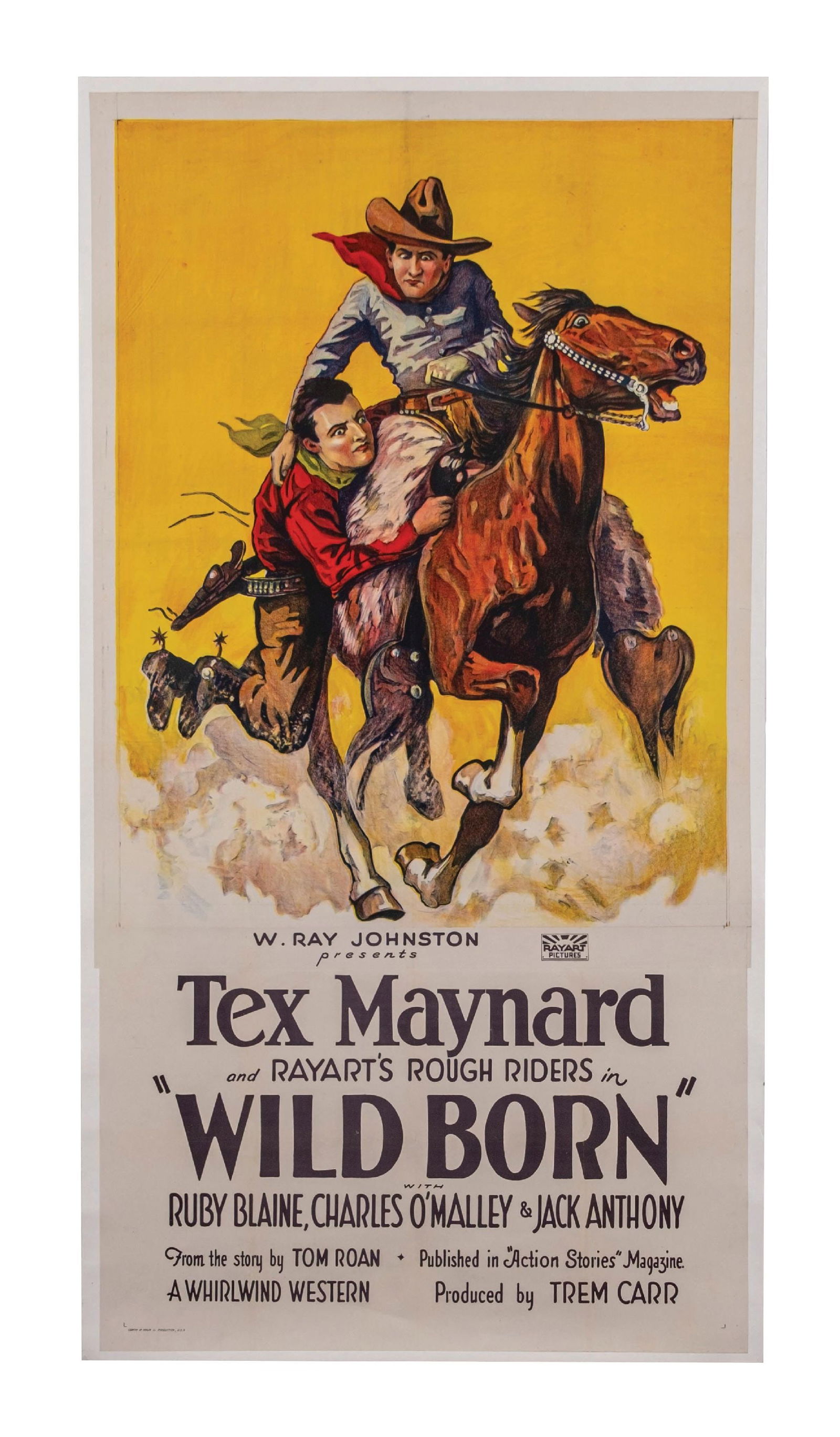 RARE 1927 TEX MATNARD "WILD BORN" 3
