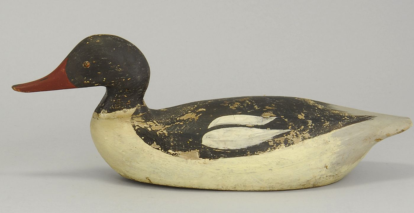 RARE AMERICAN MERGANSER DRAKE