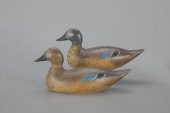 RARE AND EARLY BLUE-WINGED TEA