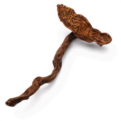 Rare and Important Chinese rootwood