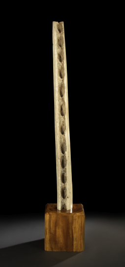 Rare and Impressive Whale Jawbone