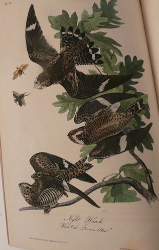 RARE AUDUBON BOOK BIRDS OF
