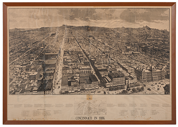 Rare Bird's-Eye View of