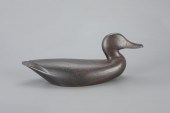 RARE BLACK DUCKLeigh F. Wither