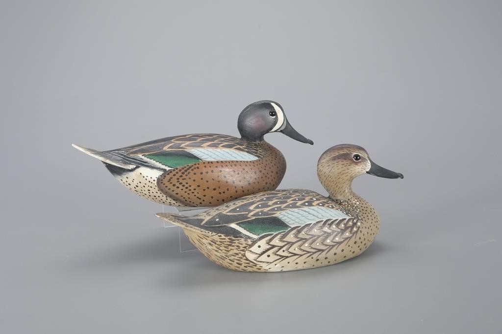 RARE BLUE-WINGED TEAL PAIRThe