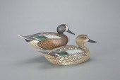 RARE BLUE-WINGED TEAL PAIRThe