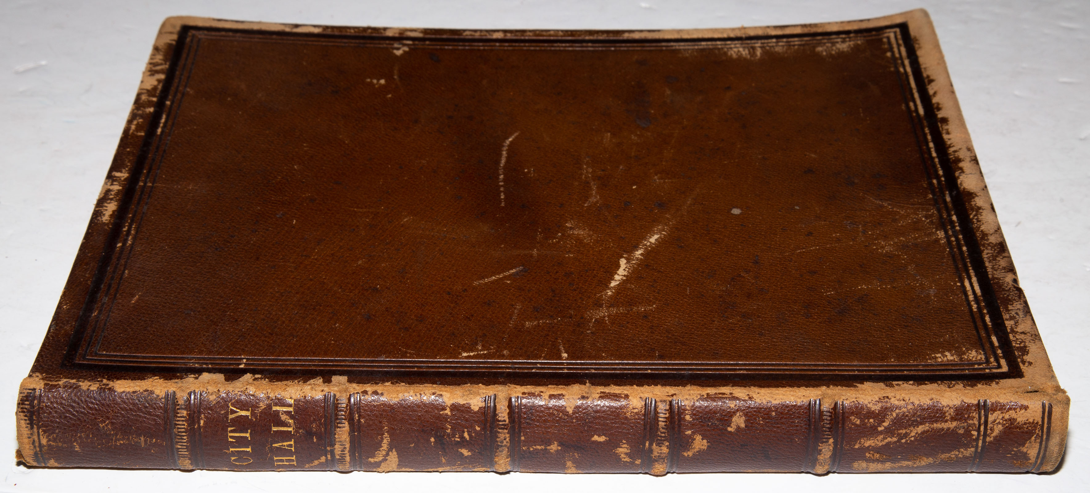 RARE BOOK ON BALTIMORE CITY HALL,
