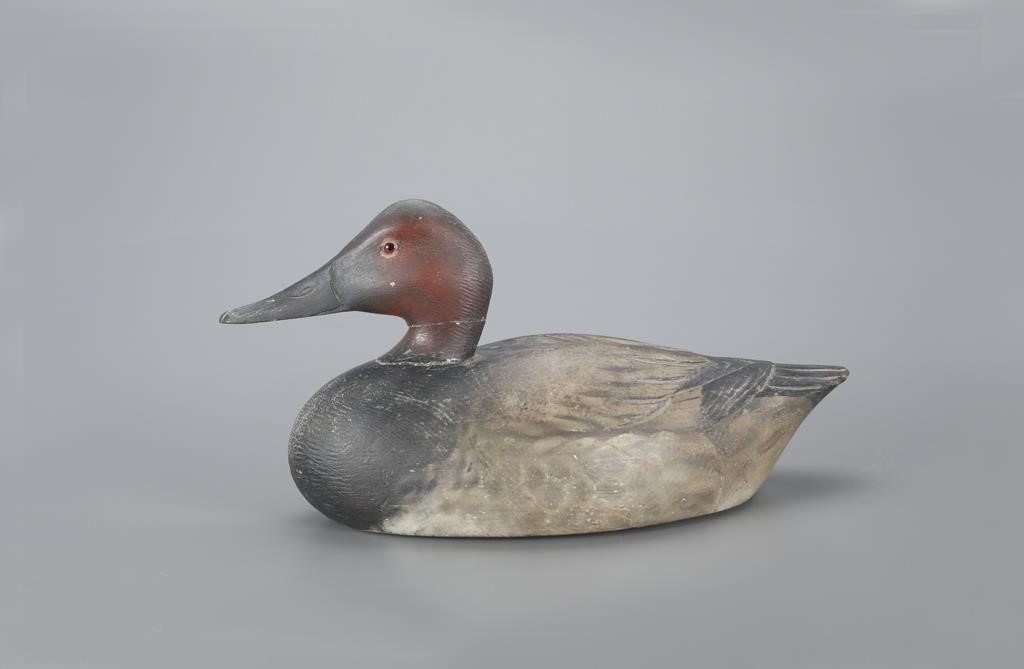 RARE CANVASBACK DRAKEA. Elmer