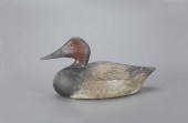 RARE CANVASBACK DRAKEA. Elmer