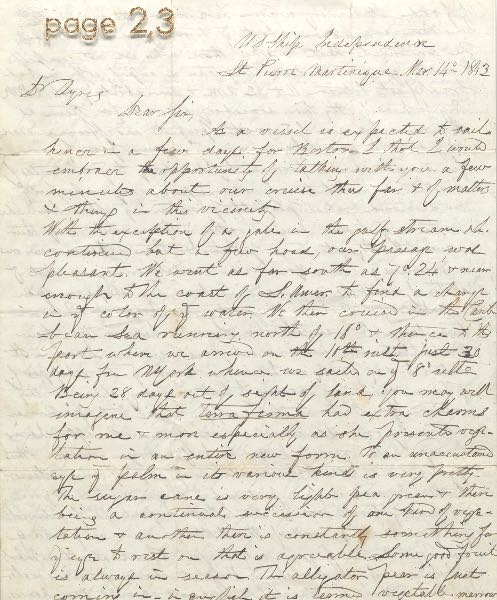 RARE FOUR-PAGE EYE WITNESS
