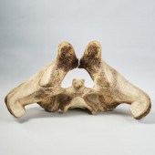 RARE & LARGE CARVED SEAL GROUP