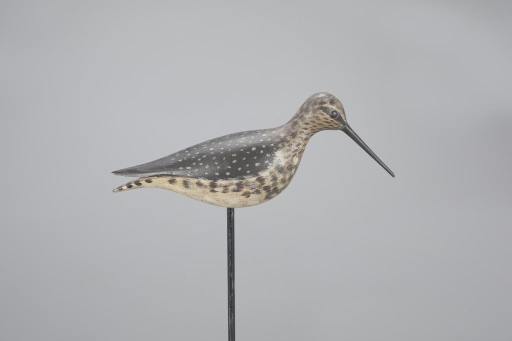 RARE LESSER YELLOWLEGSA. Elmer