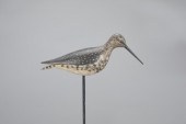 RARE LESSER YELLOWLEGSA. Elmer