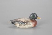 RARE MINIATURE MALLARD DRAKE D