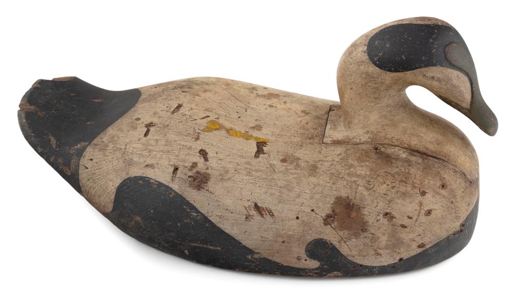 RARE MONHEGAN ISLAND OVERSIZE EIDER