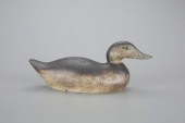 RARE PREMIER-GRADE WIGEON HENM