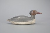 RARE RED-BREASTED MERGANSERCha