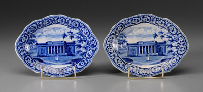 Rare Savannah Blue Transfer
