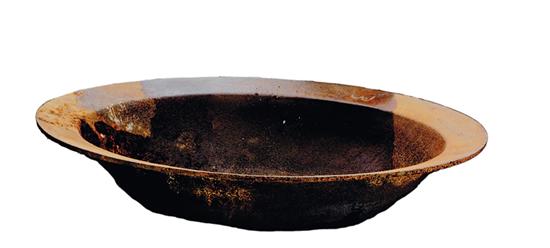 Rare Southern iron sugar cane