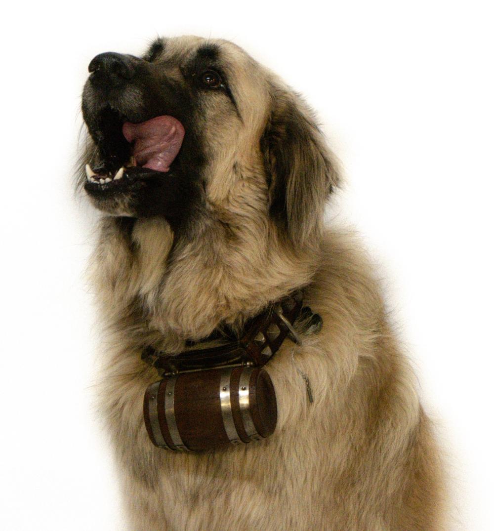 RARE VINTAGE LEATHER LOCKING DOG