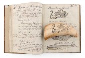 RARE WHALING JOURNAL FROM THE