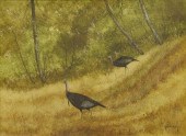 RAUL GUTIERREZ (B.1935) WILD T