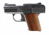 RAVEN ARMS P25 PISTOL 25Raven