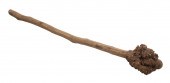 RAW PENOBSCOT BAY BIRCH ROOT W