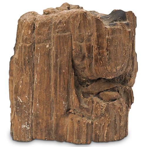 RAW PETRIFIED WOOD SLABDESCRIPTION: