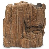 RAW PETRIFIED WOOD SLABDESCRIP