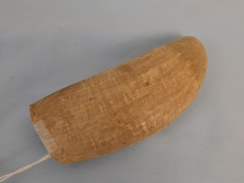 RAW WHALE TOOTHRaw, grayish colored