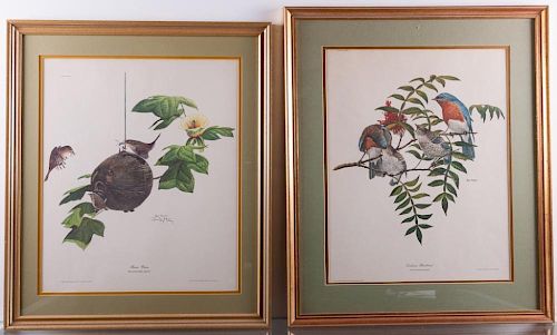 RAY HARM FRAMED WILDLIFE ART