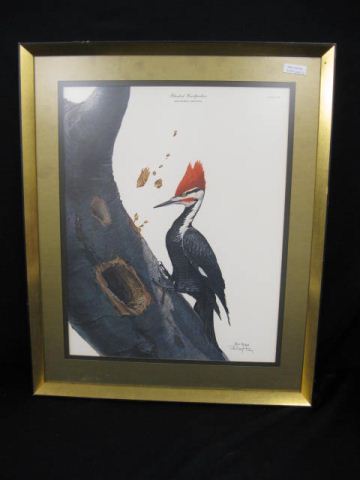 Ray Harm Print ''Pileated