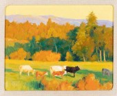 RAY (RAIMONDO J) VINELLA, UNTI