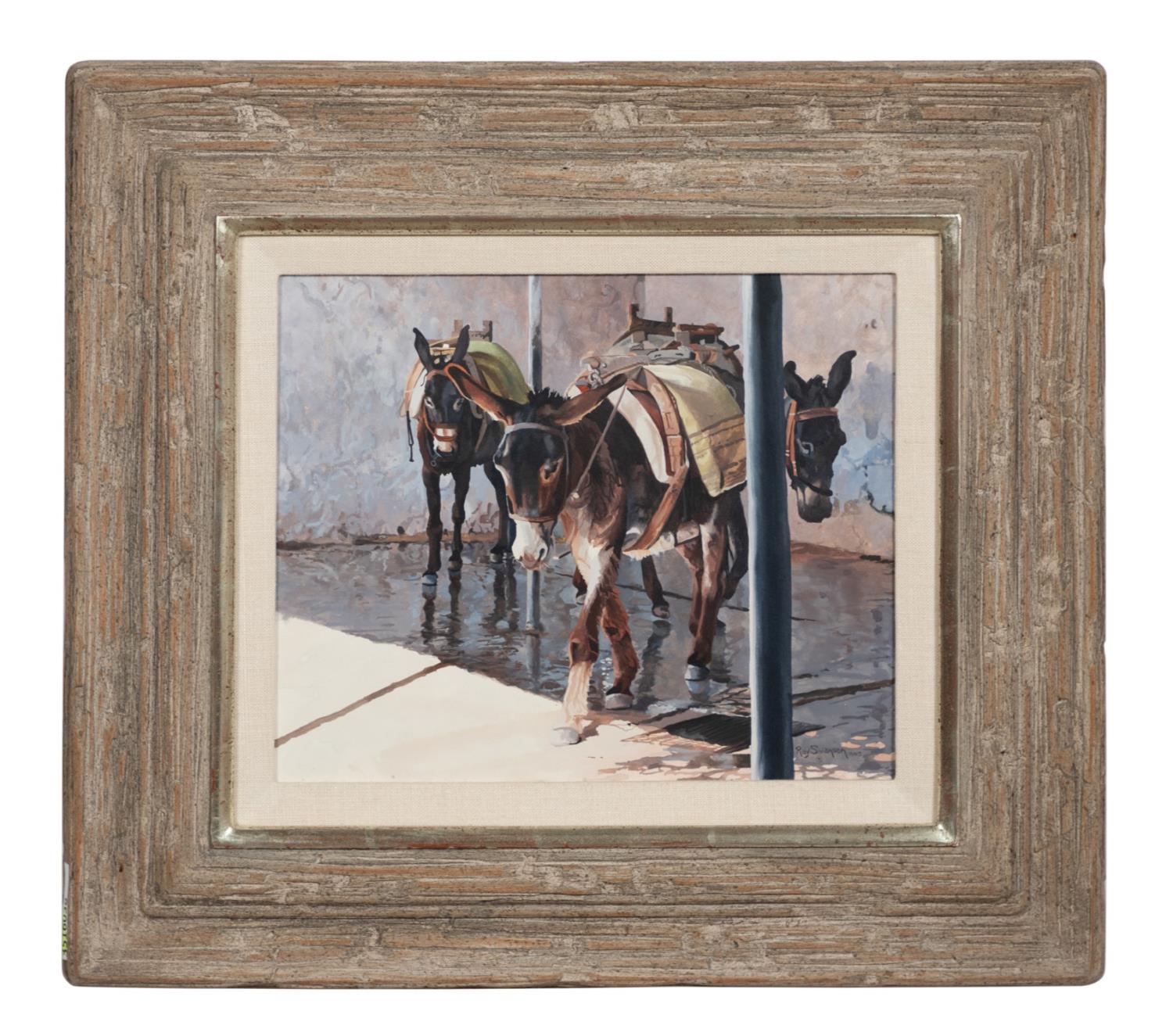 RAY SWANSON, "BURRO WASHFLOOR" PACK