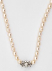 RAYMOND YARD PLATINUM, CULTURE