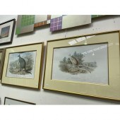 Re print of The Nail-tailed Ka