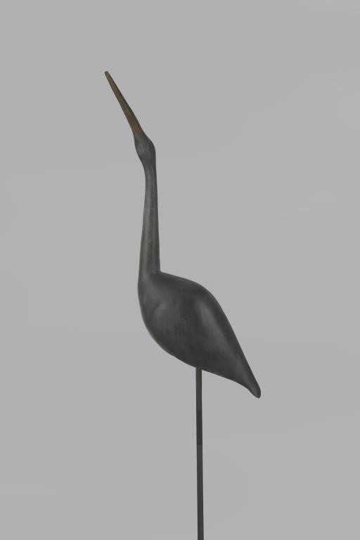 REACHING GREAT BLUE HERONGene